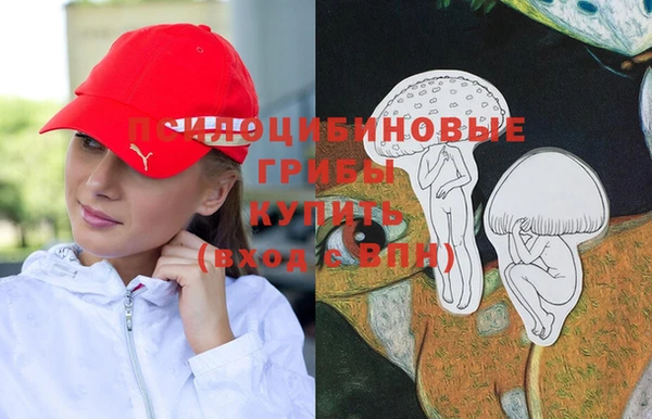 скорость Белокуриха