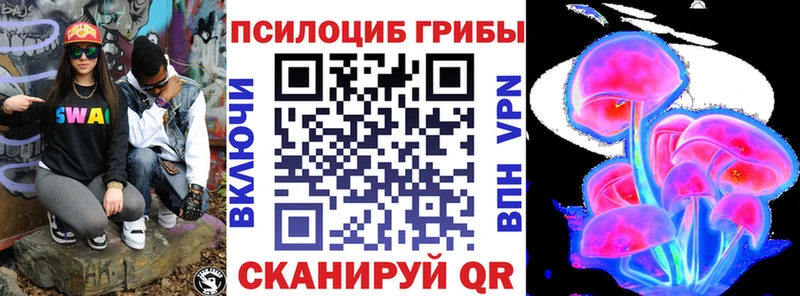 Псилоцибиновые грибы мицелий  Купить закладки  Емва 